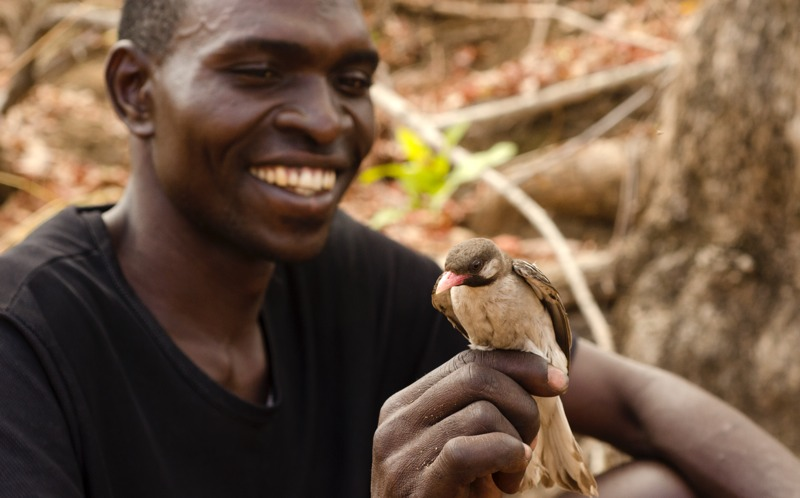 Best buddies. Yassene holds a male greater honeyguide